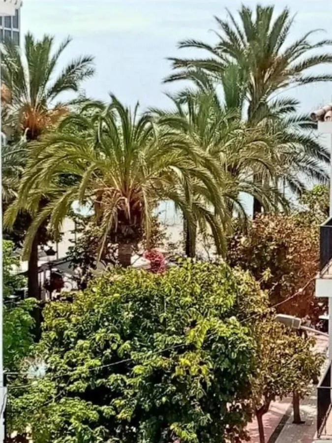 Beach Apartments Old Town location